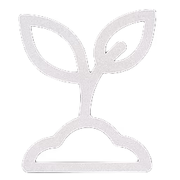 250 arbres plantés